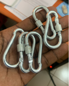 Stainless Steel Carabiner